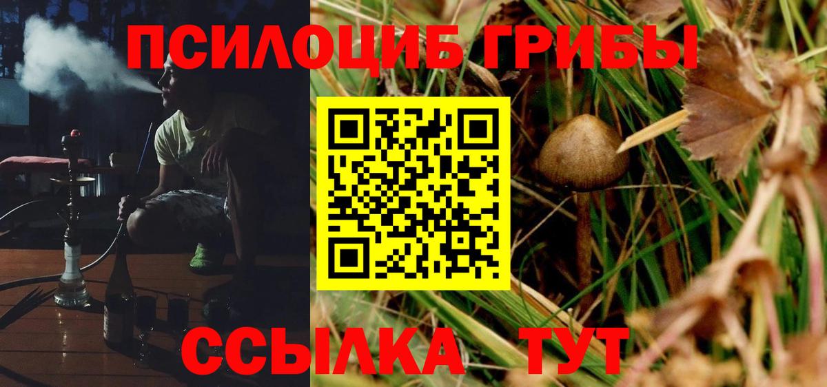 Каспийск  Галлюциногенные грибы ЛСД  Вход с VPN  Псилоцибиновые грибы Magic Shrooms 