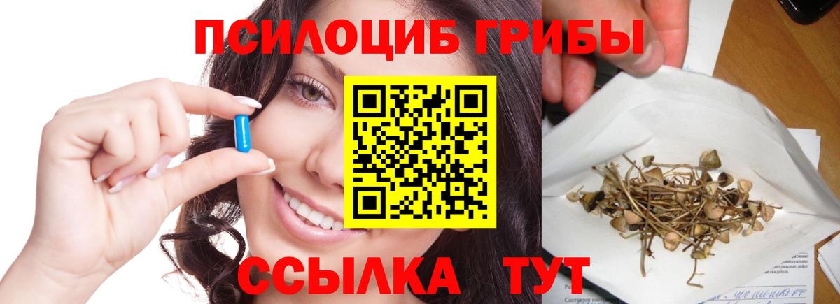 Галлюциногенные грибы Cubensis Каспийск